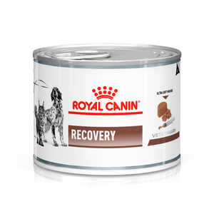 Royal Canin Prescripción Recovery RS Alimento Húmedo de Recuperación para Perro y Gato, 145 g