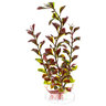 Imagitarium Planta Ludwigia de Color Rojo y Verde para Acuario, Mediano