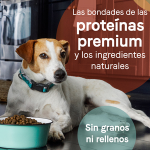 Canidae Pure Alimento Natural sin Granos para Perro Adulto Receta Salmón y Camote, 9.9 kg