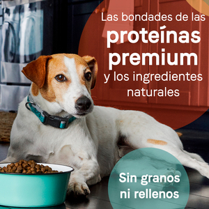 Canidae Pure Alimento Natural sin Granos para Perro Adulto Receta Pato y Camote, 1.8 kg