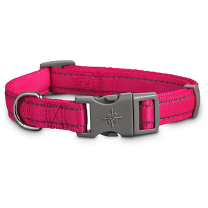 Good2Go Collar Acojinado Reflejante Color Rosa Neón con Broche Gris para Perro, Mediano