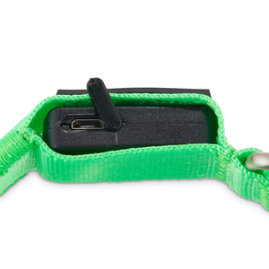 Good2Go Collar Reflejante con Luz LED Recargable Color Verde para Perro, Grande/X-Grande