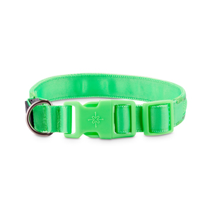 Good2Go Collar Reflejante con Luz LED Recargable Color Verde para Perro, Grande/X-Grande