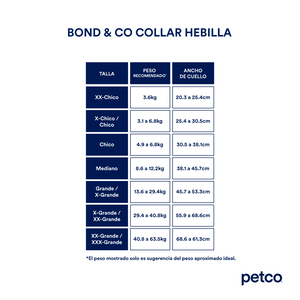 Bond & Co Collar de Cuero Color Rosa con Incrustaciones Brillantes para Perro, X-Chico/Chico