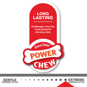 Nylabone Power Chew Juguete Masticable Diseño Hueso X Res para Perro, Grande
