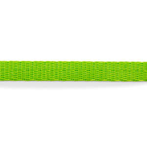 Youly Collar con Broche Diseño Clásico para Gatito, Verde