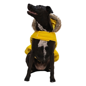 Latipaw Parka Acolchada con Gorro Color Amarillo para Perro, Grande