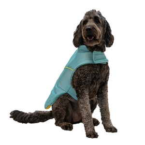 Latipaw Capa Tipo Sport Color Aqua/Amarillo para Perro, Chica