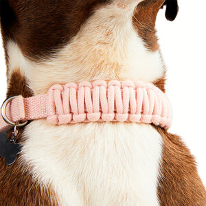 Youly Collar de Cuerda Trenzada Color Rosa con Hebilla para Perro, Mediano