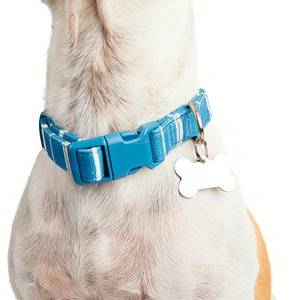 Youly Collar Plano Ajustable Color Azul Diseño a Rayas para Perro, Mediano