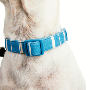 Youly Collar Plano Ajustable Color Azul Diseño a Rayas para Perro, Grande