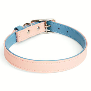 Youly Collar Liso Color Rosa/Azul con Hebilla para Perro, Mediano