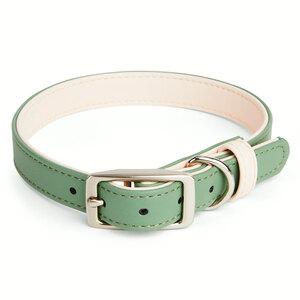 Youly Collar Liso Color Verde/Crema con Hebilla para Perro, Chico