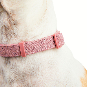 Youly Collar Plano Ajustable Color Rosa Diseño Moteado para Perro, Chico