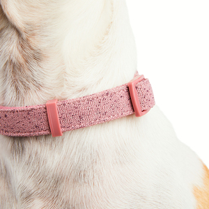 Youly Collar Plano Ajustable Color Rosa Diseño Moteado para Perro, Mediano