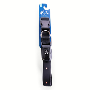 Youly Collar Liso Color Negro con LED para Perros, Chico