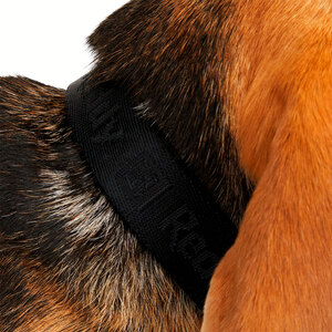 Reddy Collar Diseño Jacquard Color Negro para Perro, X-Chico