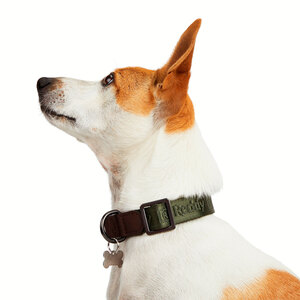 Reddy Collar Diseño Jacquard Color Verde para Perro, Mediano