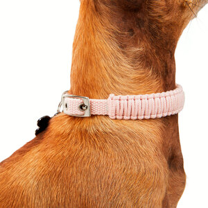 Youly Collar de Cuerda Trenzada Color Rosa con Hebilla para Perro, X-Chico/Chico