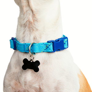 Youly Collar Plano Ajustable Color Azul/ Turquesa Diseño Cuerda para Perro, Chico