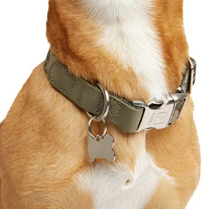 Reddy Collar Ajustable Diseño Camuflaje Color Verde con Broche Metálico para Perro, Chico