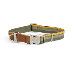 Reddy Collar Ajustable Diseño Rallas Color Verde Olivo con Broche Metálico para Perro, Mediano