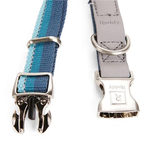 Reddy Collar Ajustable Diseño Rayas Color Azul con Broche Metálico para Perro, Chico