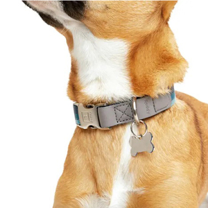 Reddy Collar Ajustable Diseño Rayas Color Azul con Broche Metálico para Perro, Chico
