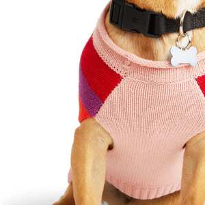 Youly Sweater Color Rosa con Morado Estilo Rayado para Perro, Grande