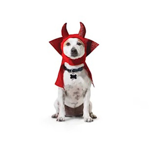 Bootique Disfraz Estilo Sombrero con Cuernos Rojos y Capa para Perro Edición Halloween, Grande / X-Grande