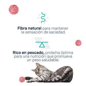 Canidae Goodness for Indoor Alimento Seco para Gato Adulto de Interior Receta Pescado Blanco, 2.2 kg
