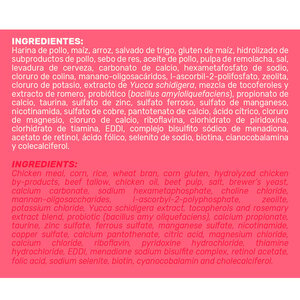 Choice Nutrition Alimento Avanzado Seco para Perro Adulto Razas Pequeñas Receta Pollo, 2 kg