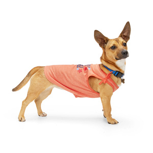 Youly Polera sin Mangas Rosa Wild & Free para Perro, X-Grande