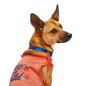 Youly Polera sin Mangas Rosa Wild & Free para Perro, X-Grande