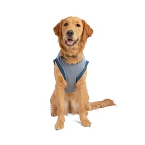 Reddy Polera sin Mangas Azul para Perro, Grande Reddy Polera sin Mangas Azul para Perro, Grande