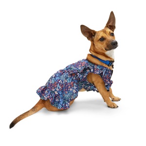 Youly Vestido Floral Azul Marino para Perro, X-Chico