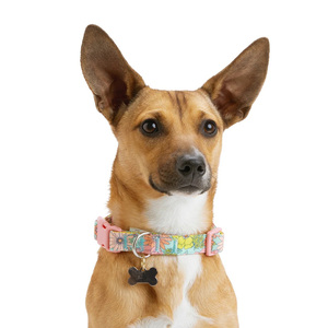 Youly Collar Ajustable Diseño Floreado Color Rosa con Broche para Perro, Mediano