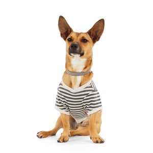 Reddy Polera Símbolos de Amor y Paz, para Perro, X-Grande Reddy Polera Símbolos de Amor y Paz, para Perro, X-Grande