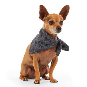 Reddy Bandana Gris para Perro, Chico/Mediano