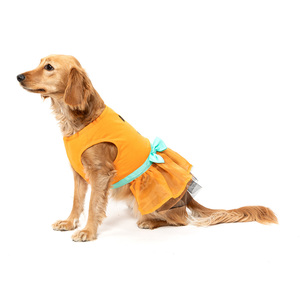 Bootique Vestido Modelo Calabaza Edición Halloween para Perro, Mediano