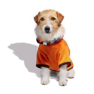 Bootique Sudadera Modelo Calabaza Edición Halloween para Perro, XX-Grande