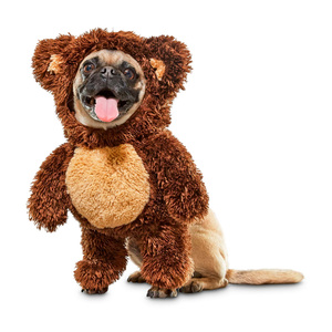 Bootique Disfraz de Osito Teddy para Perro, Mediano