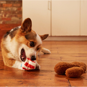 Bark Bucket O´Fried Licken Juguete de Peluche para Perro