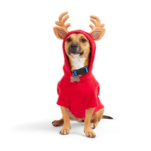 Merry Makings Sudadera Roja con Cuernitos de Reno para Perro, Mediano Merry Makings Sudadera Roja con Cuernitos de Reno para Perro, Mediano