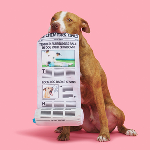 Bark Peluche en Forma de Periódico Chew York Times para Perro, Chico/Mediano