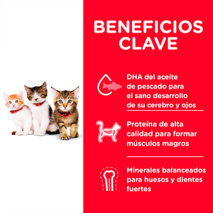 Hill's Science Diet Alimento Seco Feline Kitten para Gatito, 3.18 kg