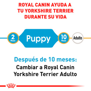 Royal Canin Alimento Seco para Cachorro Raza Yorkshire Terrier, 1 kg