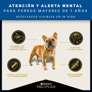 Pro Plan Active Mind Alimento Seco para Perro Adulto de Razas Pequeñas, 7.5 kg