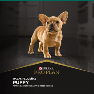 Pro Plan Alimento Seco para Cachorro de Razas Pequeñas, 3 kg