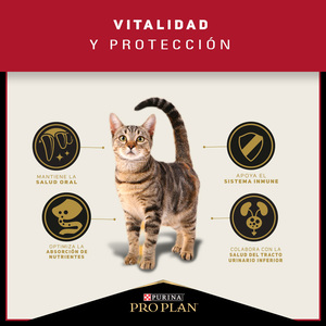 Pro Plan Alimento Seco para Gato Adulto de Todas las Razas, 7.5 kg